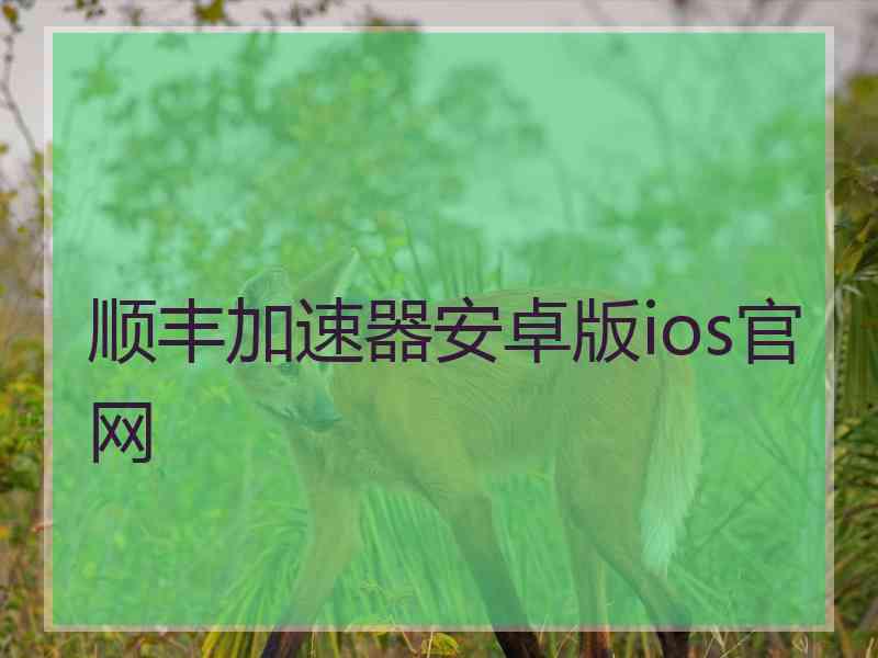 顺丰加速器安卓版ios官网