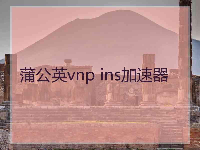 蒲公英vnp ins加速器