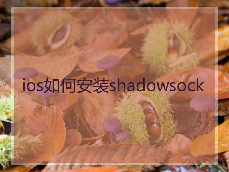 ios如何安装shadowsock