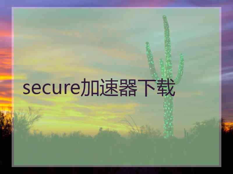 secure加速器下载