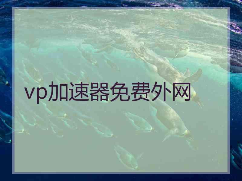 vp加速器免费外网