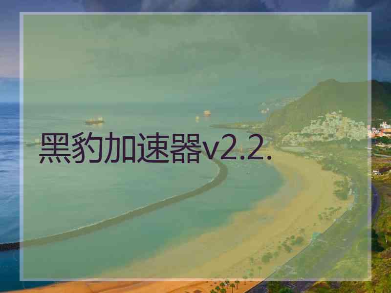 黑豹加速器v2.2.