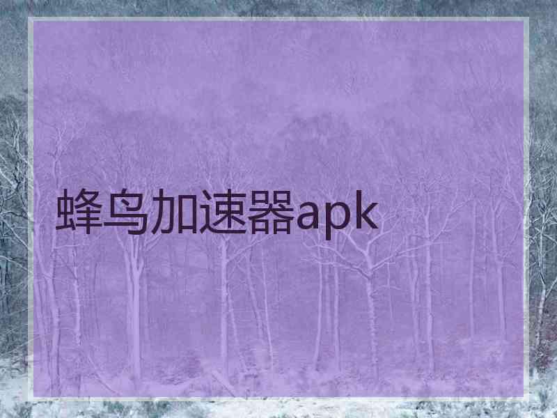 蜂鸟加速器apk