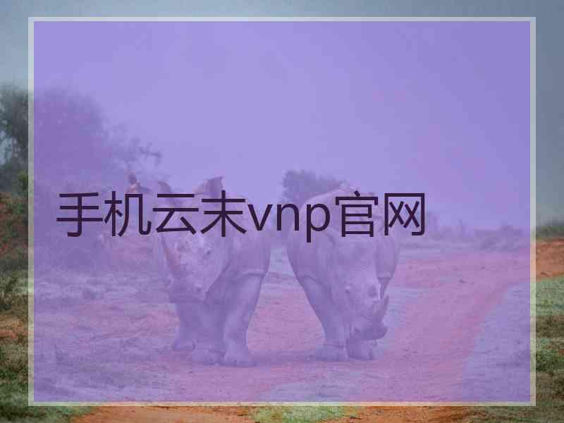 手机云末vnp官网