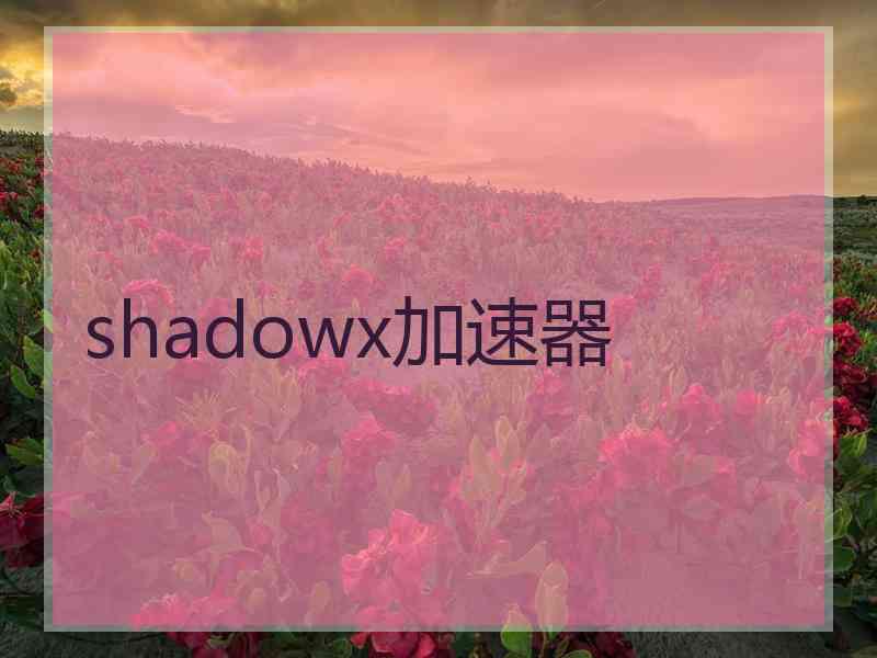 shadowx加速器