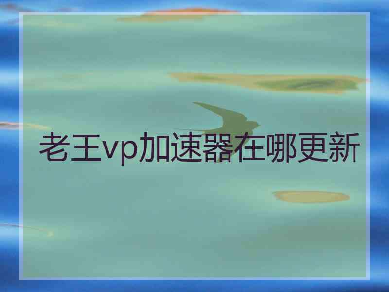 老王vp加速器在哪更新