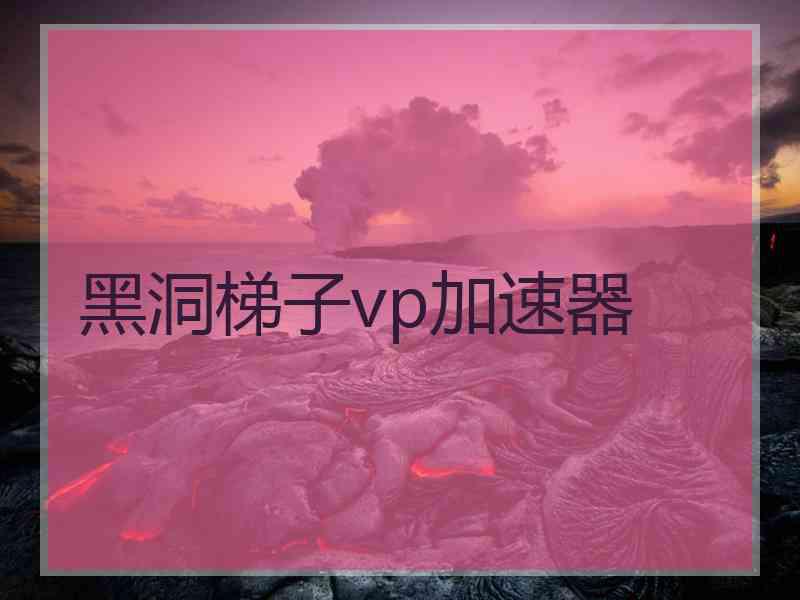 黑洞梯子vp加速器