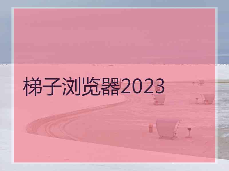 梯子浏览器2023