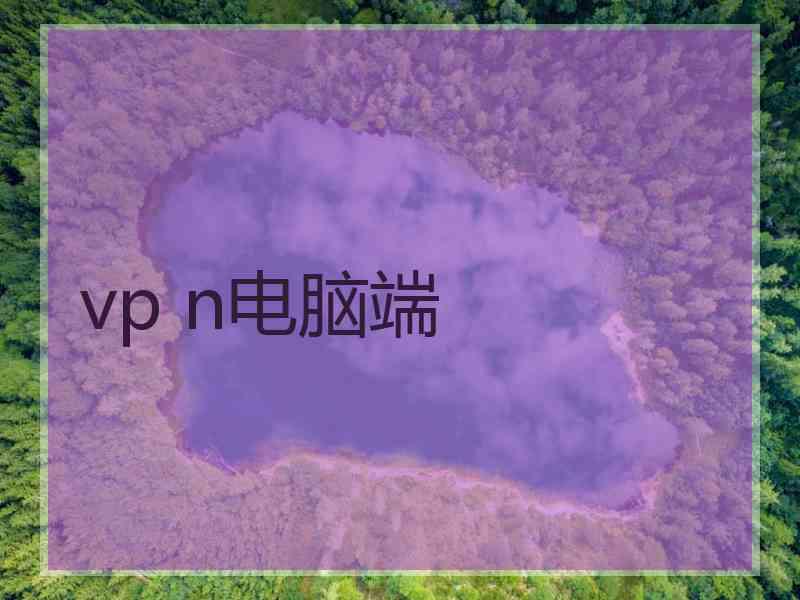 vp n电脑端