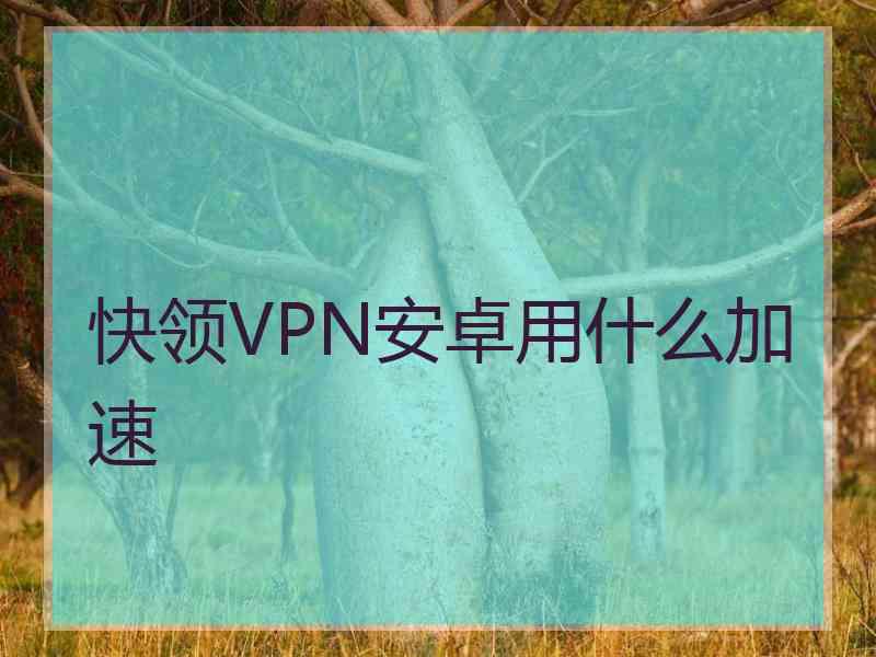 快领VPN安卓用什么加速