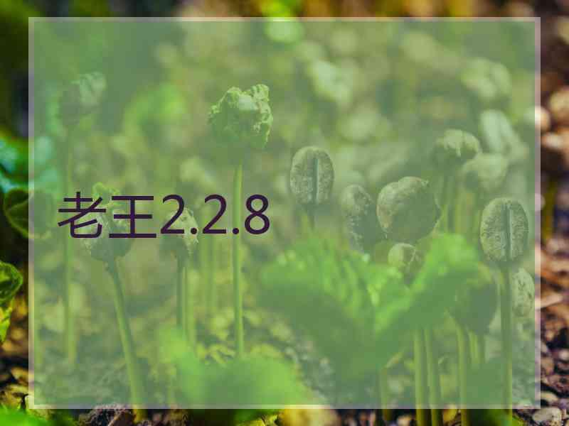 老王2.2.8