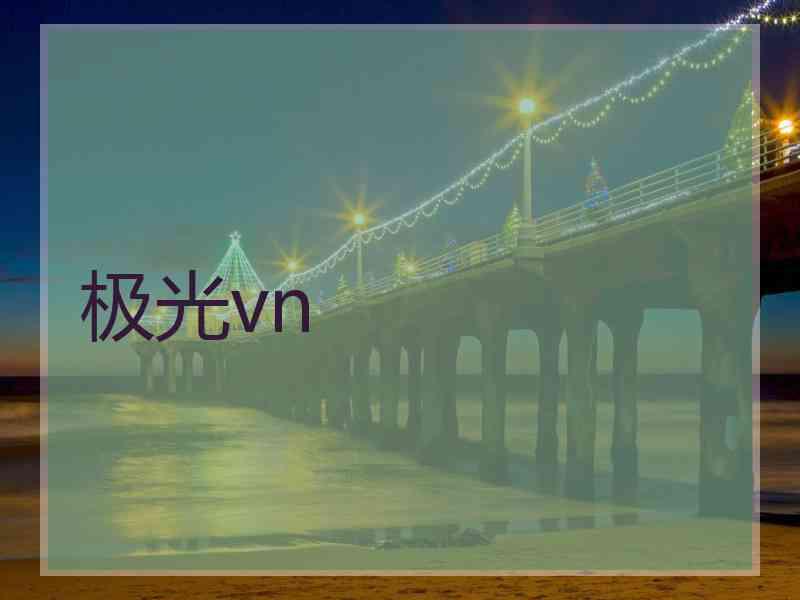 极光vn