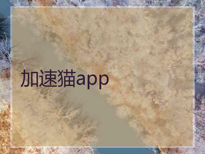 加速猫app