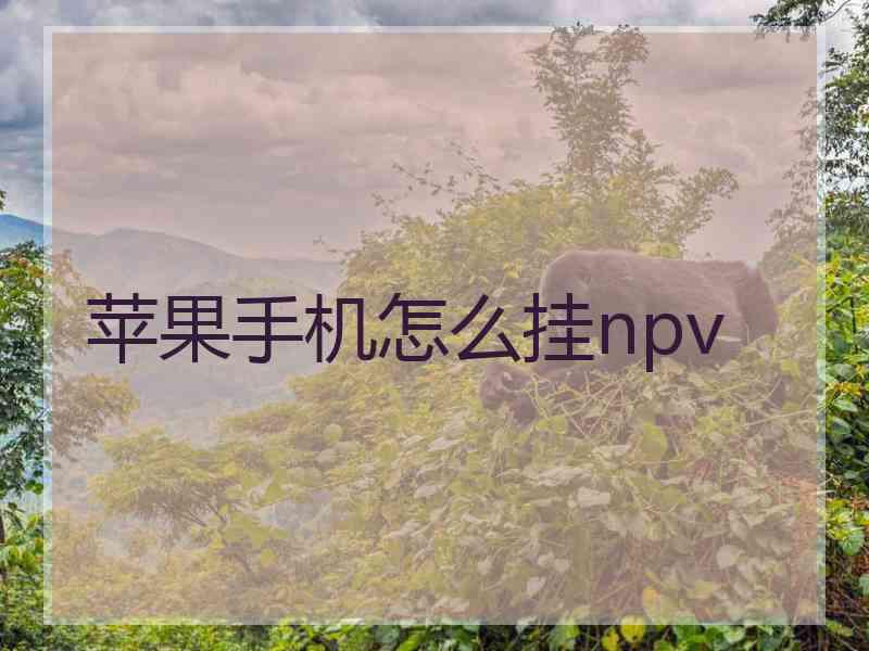 苹果手机怎么挂npv