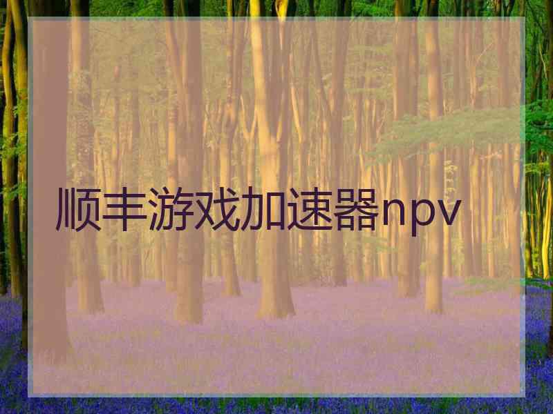 顺丰游戏加速器npv