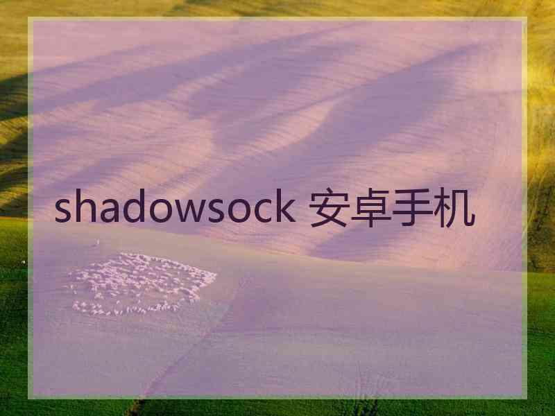 shadowsock 安卓手机