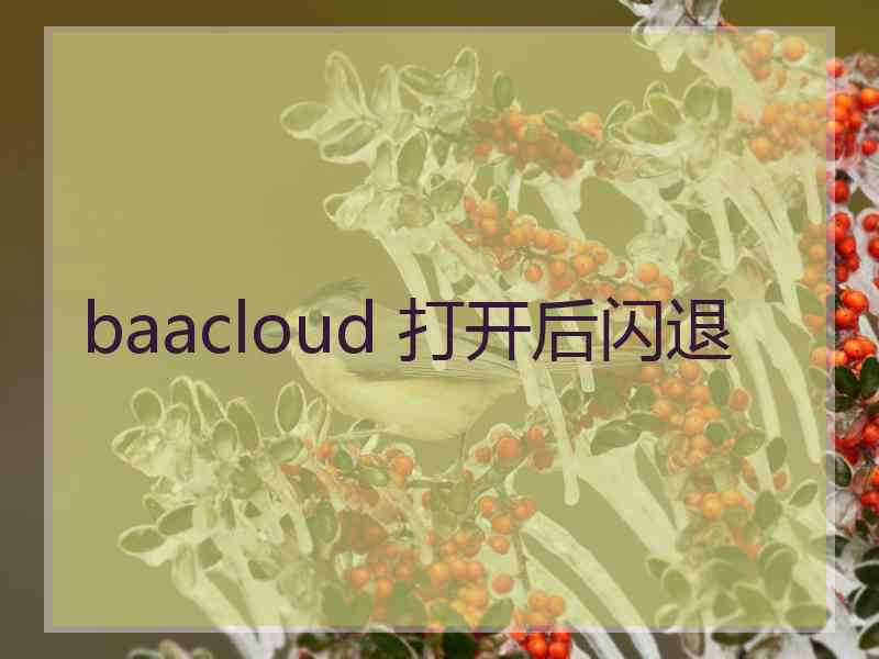 baacloud 打开后闪退