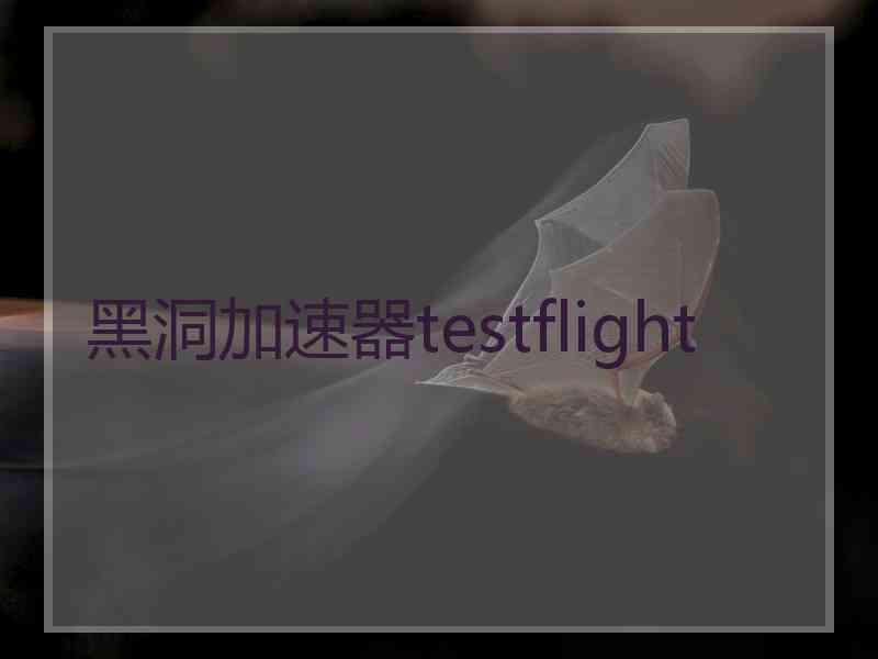 黑洞加速器testflight