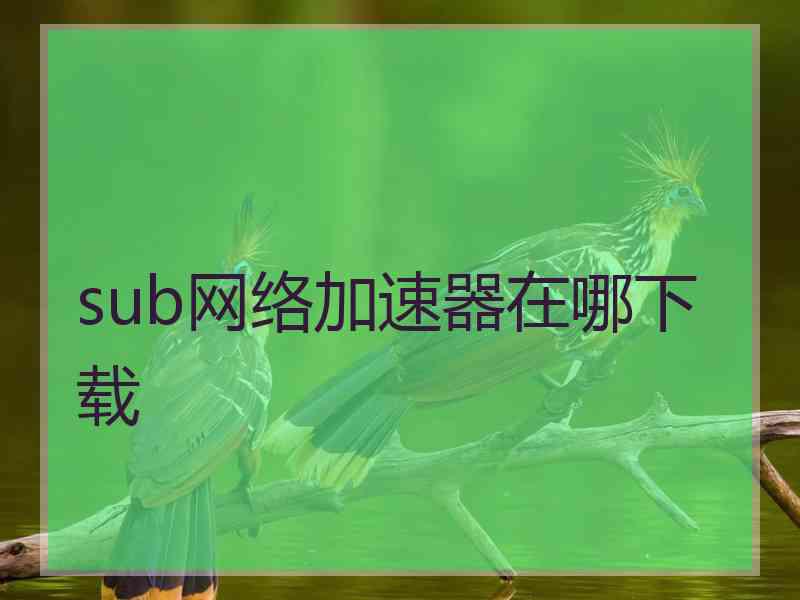 sub网络加速器在哪下载