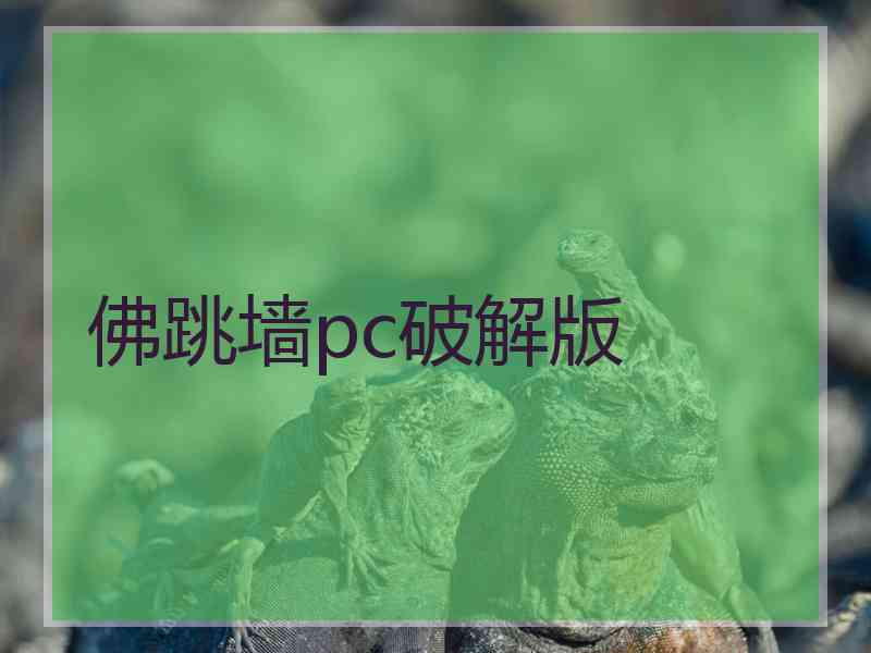 佛跳墙pc破解版