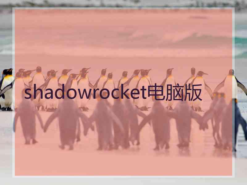 shadowrocket电脑版