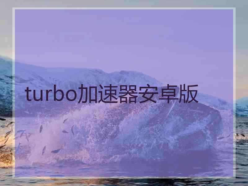 turbo加速器安卓版