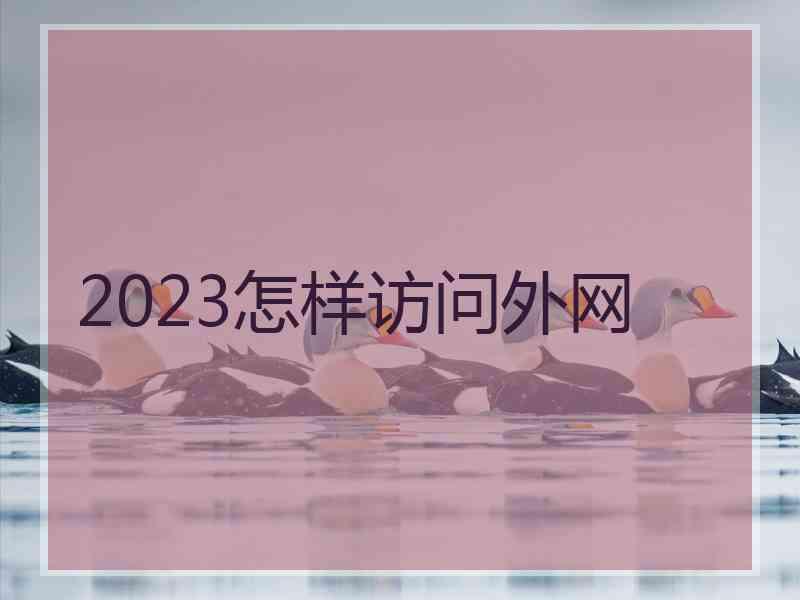 2023怎样访问外网