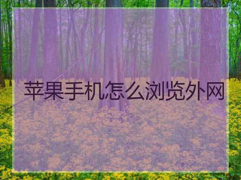 苹果手机怎么浏览外网