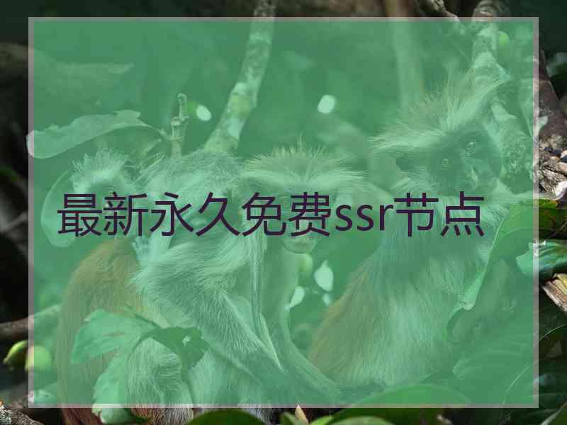 最新永久免费ssr节点