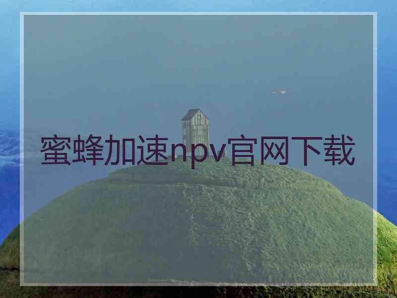 蜜蜂加速npv官网下载