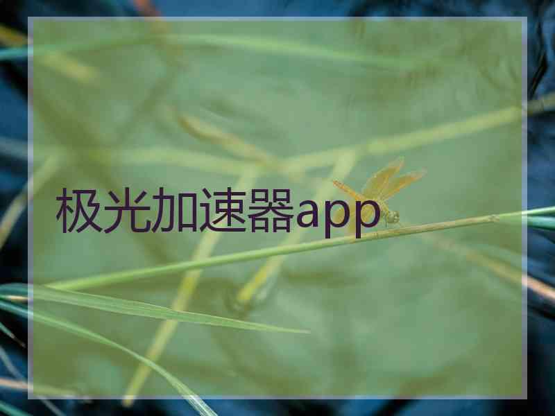 极光加速器app