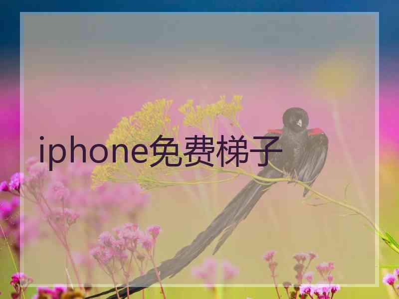 iphone免费梯子