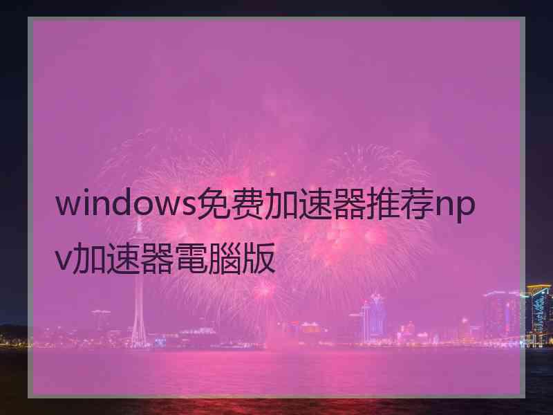 windows免费加速器推荐npv加速器電腦版