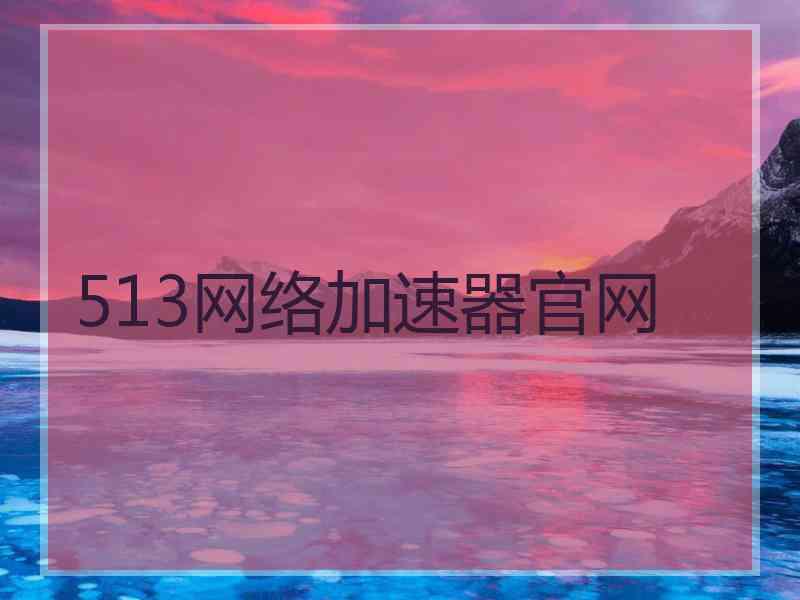 513网络加速器官网