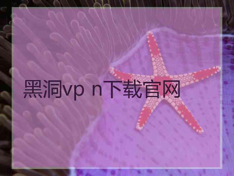 黑洞vp n下载官网