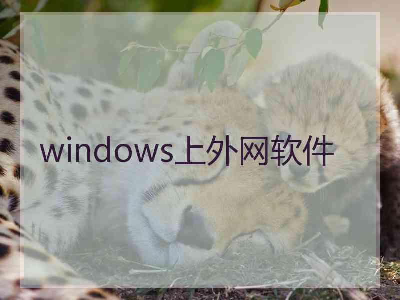 windows上外网软件