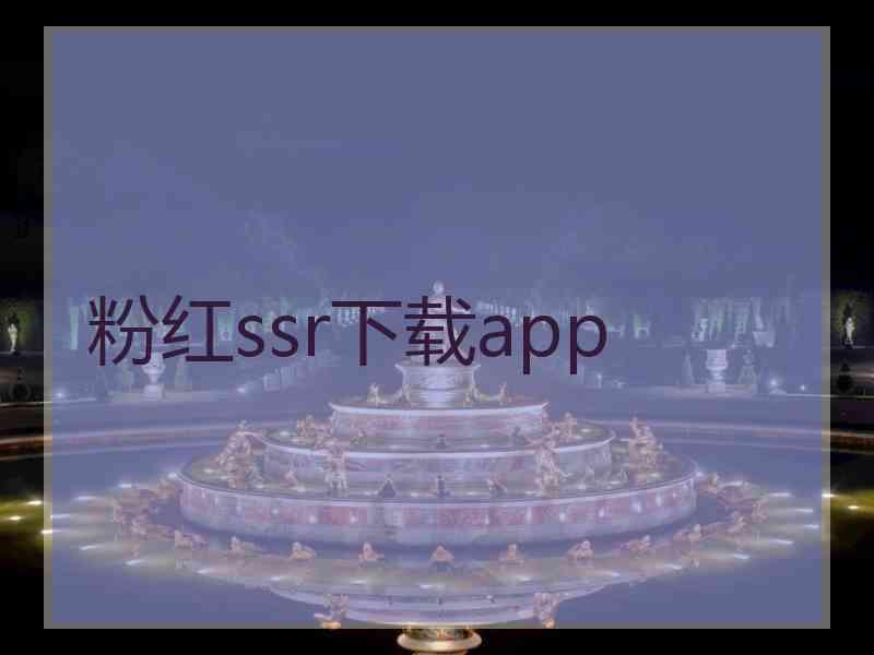 粉红ssr下载app