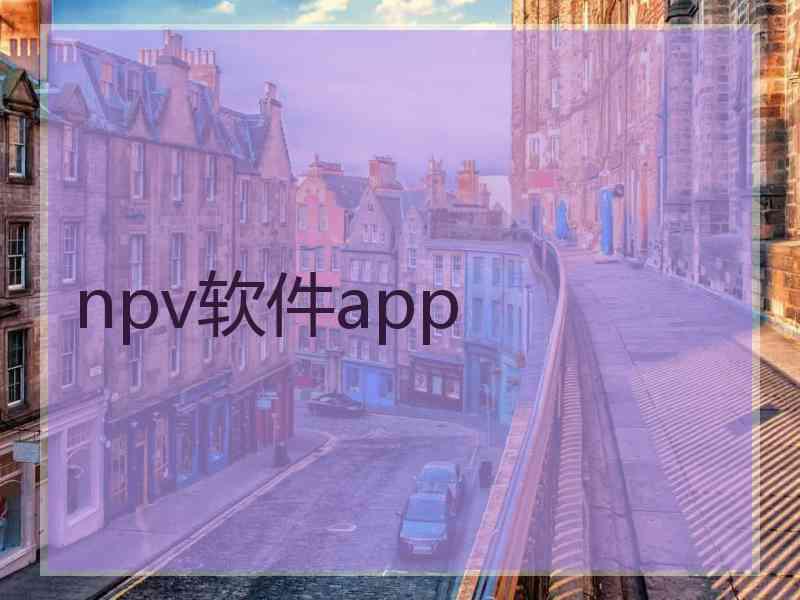 npv软件app