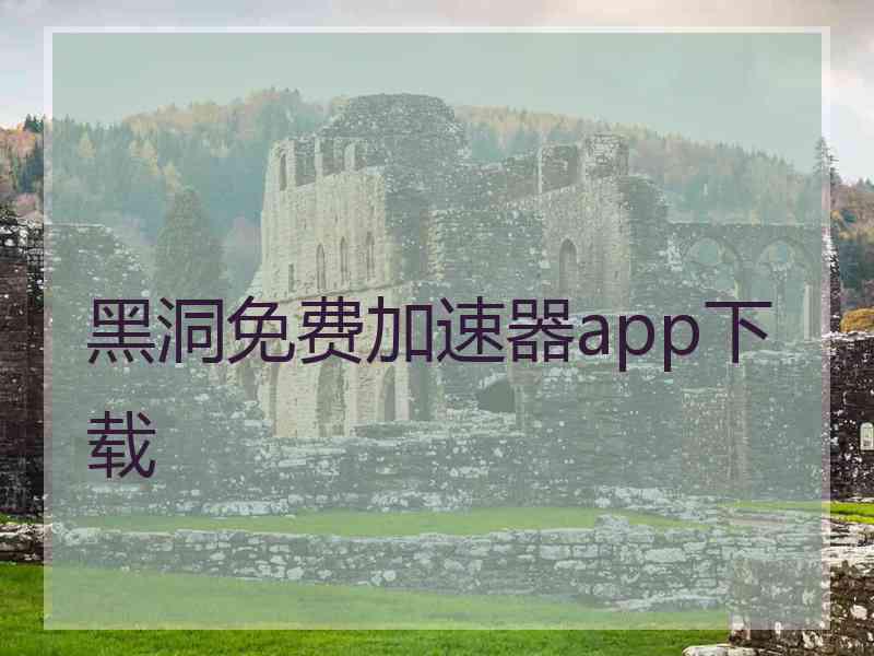 黑洞免费加速器app下载