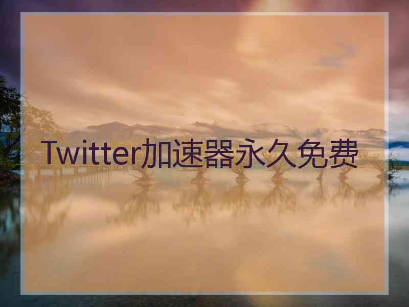 Twitter加速器永久免费