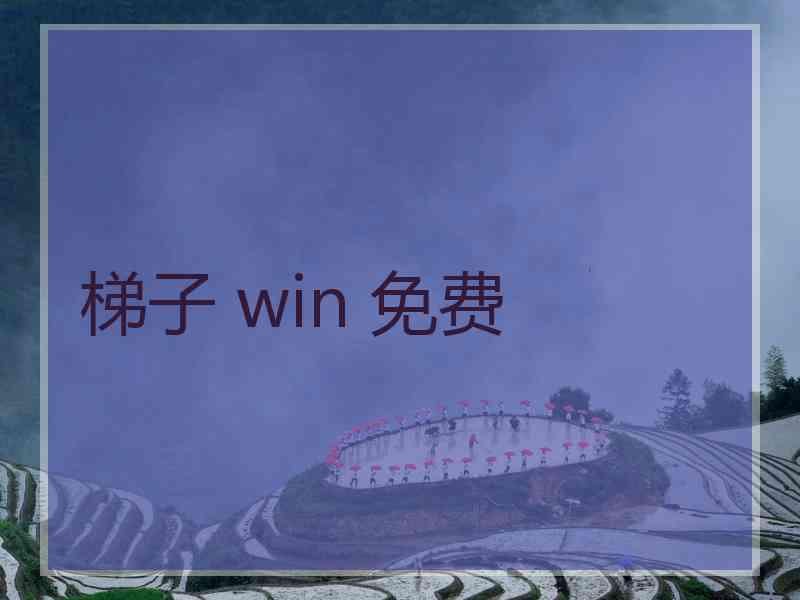 梯子 win 免费