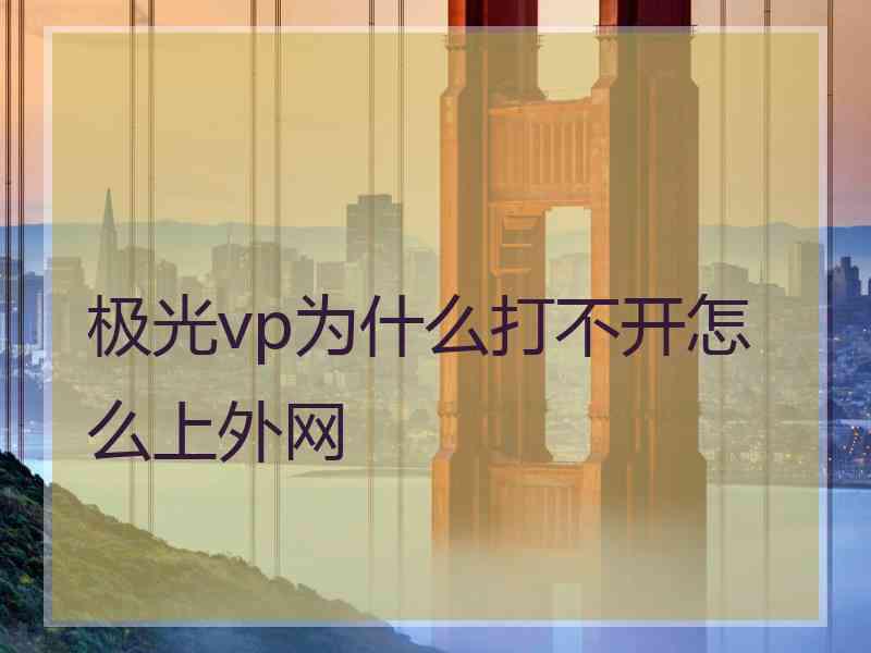 极光vp为什么打不开怎么上外网