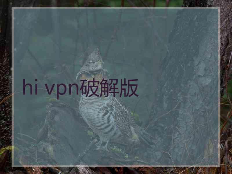 hi vpn破解版