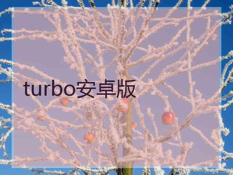 turbo安卓版