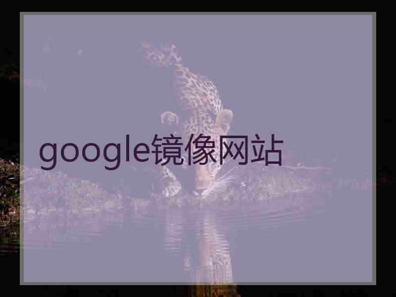 google镜像网站