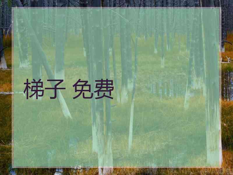 梯子 免费