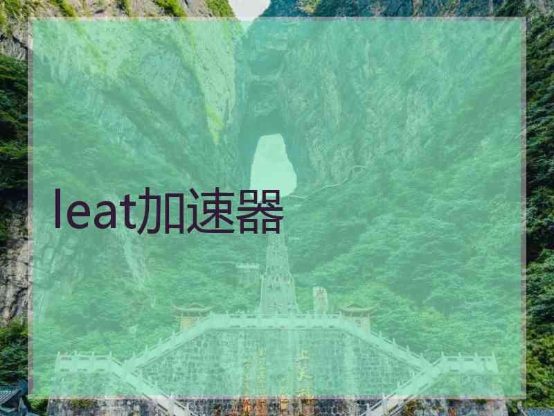 leat加速器