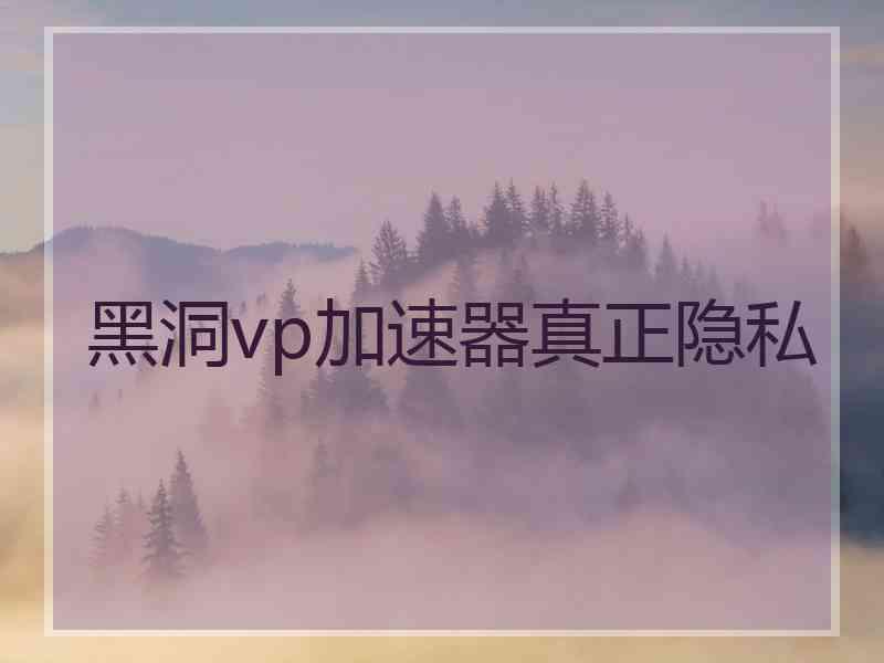 黑洞vp加速器真正隐私