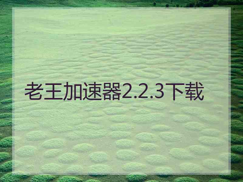 老王加速器2.2.3下载