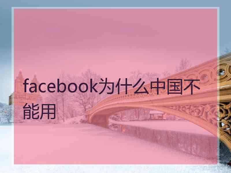 facebook为什么中国不能用